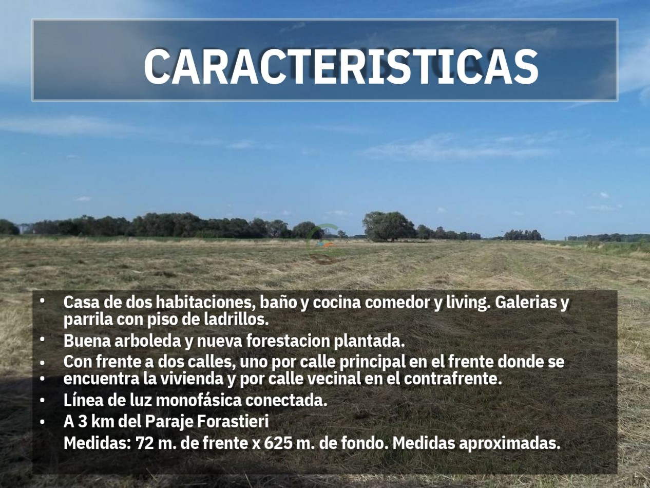 4,5 ha Mixta - Roque Perez