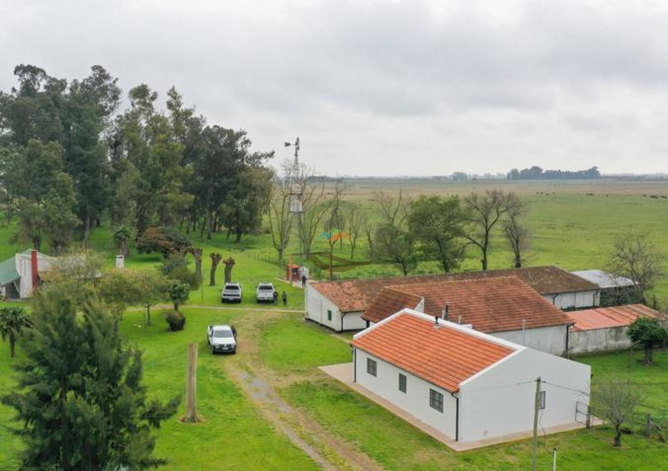 1795 Ha Ganadero - Chascomus