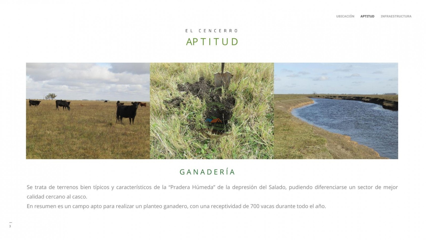 1184 ha Ganadero - Las Flores