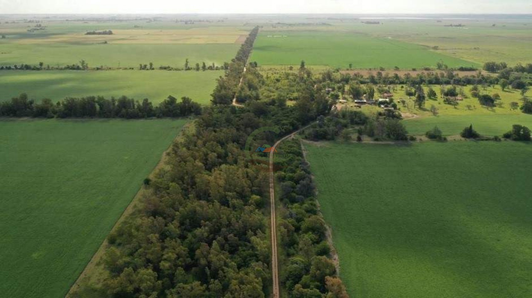 1138 ha agricolas - gral villegas