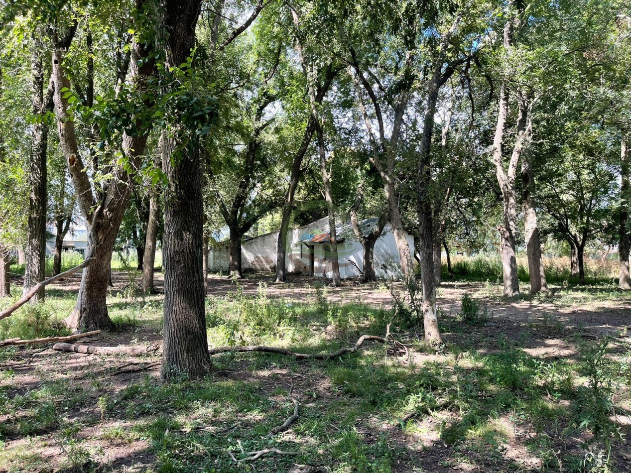 109 ha Feed Lot - Las Flores