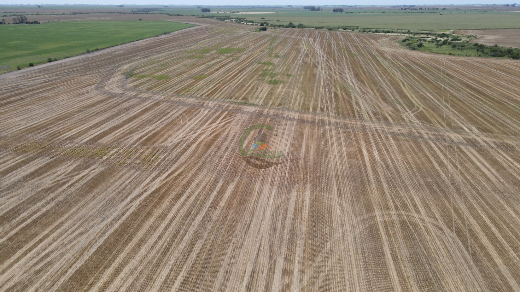 161 Ha Agricolas - Irazusta - Entre Rios
