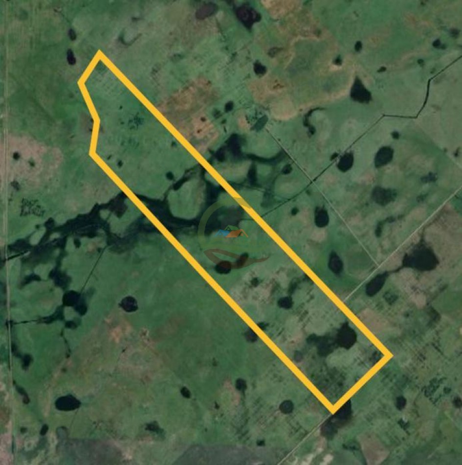 227 Ha Ganadero - Rauch