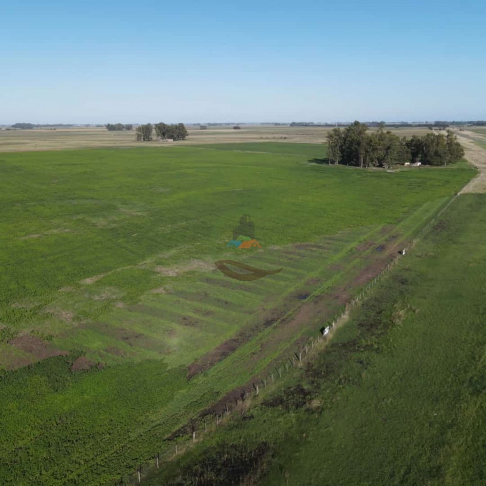 31 ha Agricolas - Saladillo 