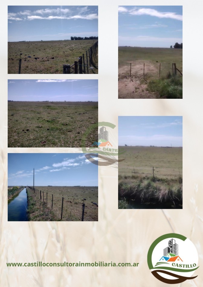 280 ha agricolas - daireaux