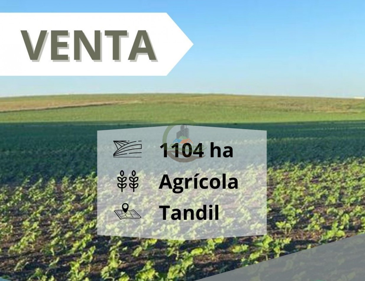 1104 ha Agricolas - Tandil
