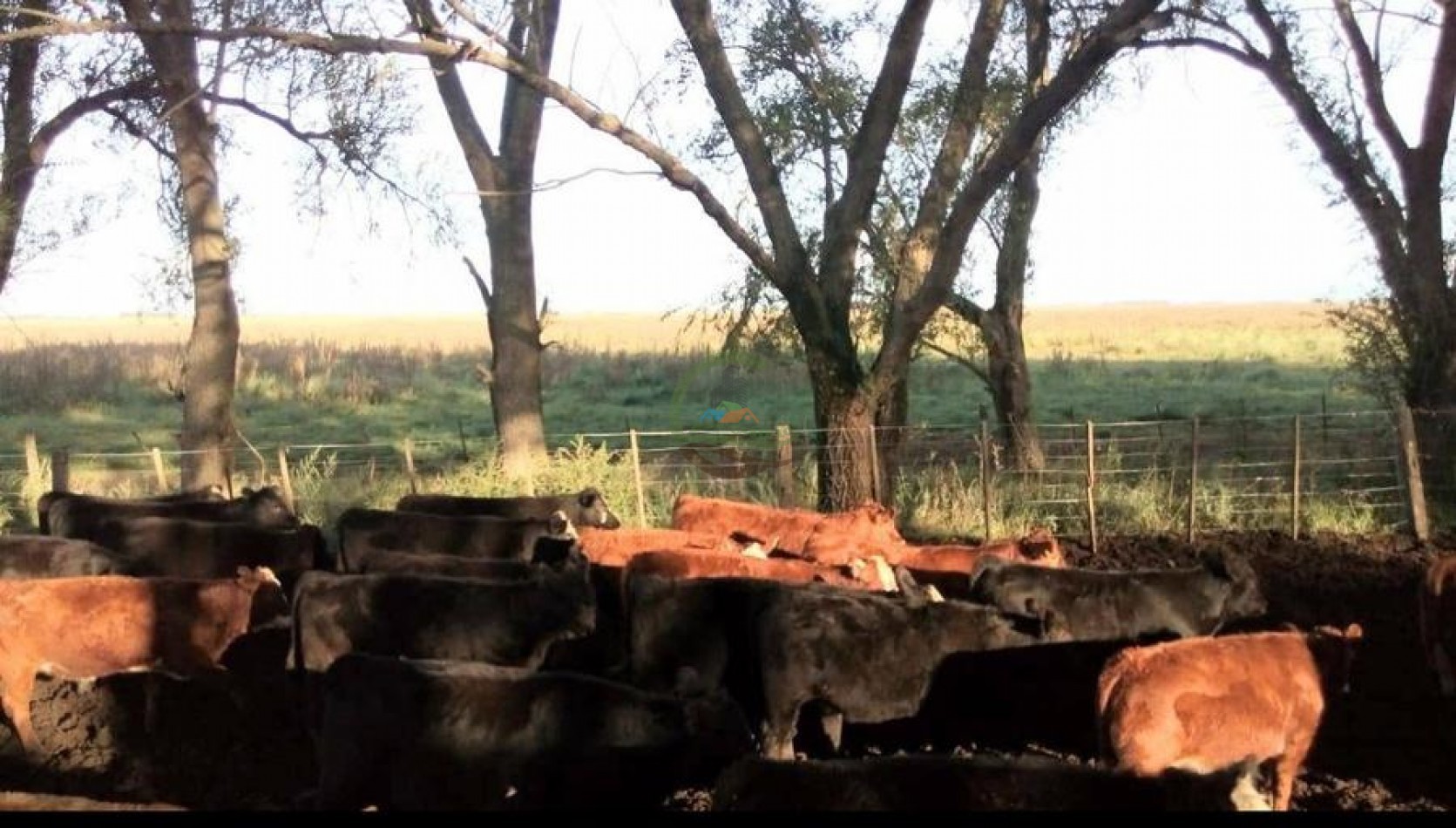 882 Ha Mixto - Gral Lamadrid
