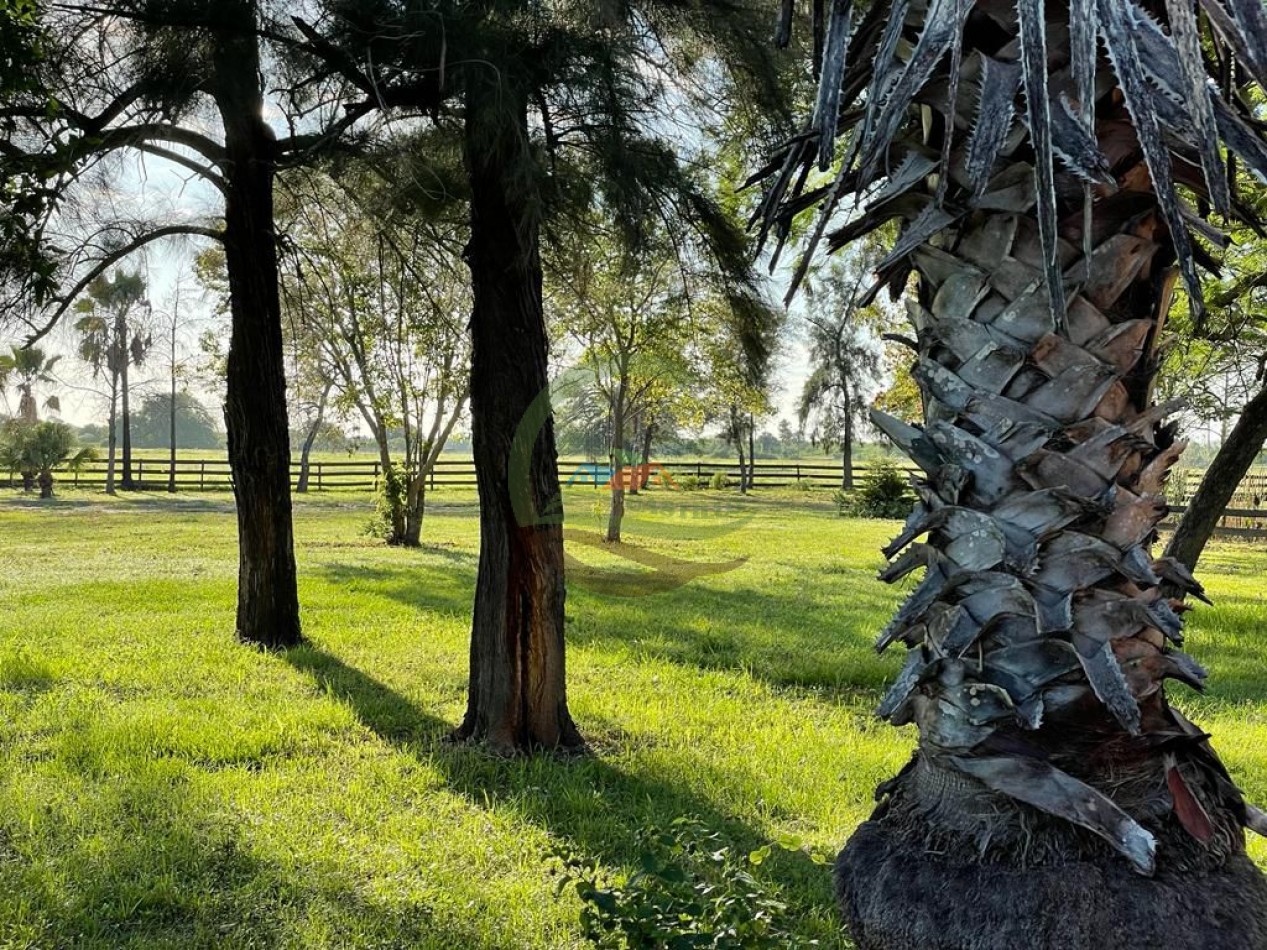 43000 ha MIxtos - Formosa