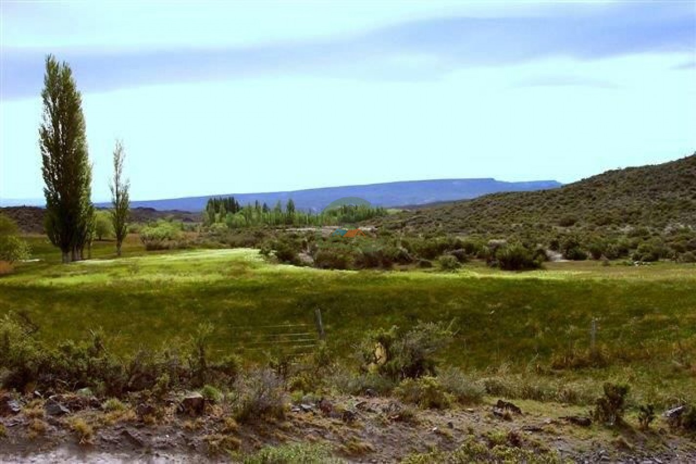 93000 ha Ganaderas - Pasos de los Indios - Chubut
