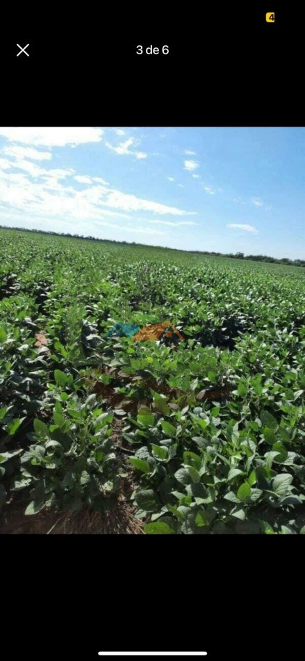 43000 ha MIxtos - Formosa