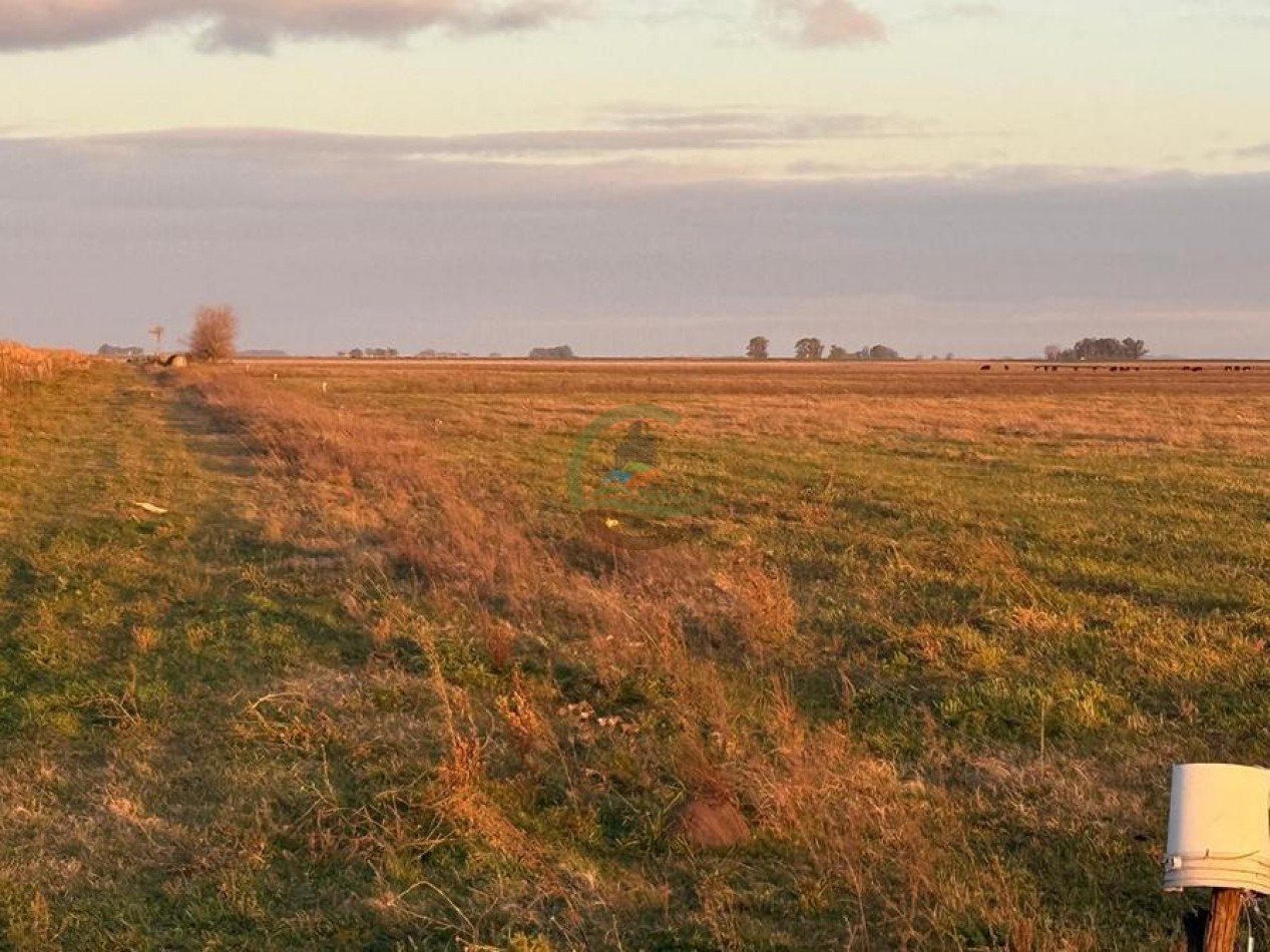 60 Ha Mixto - Bolivar