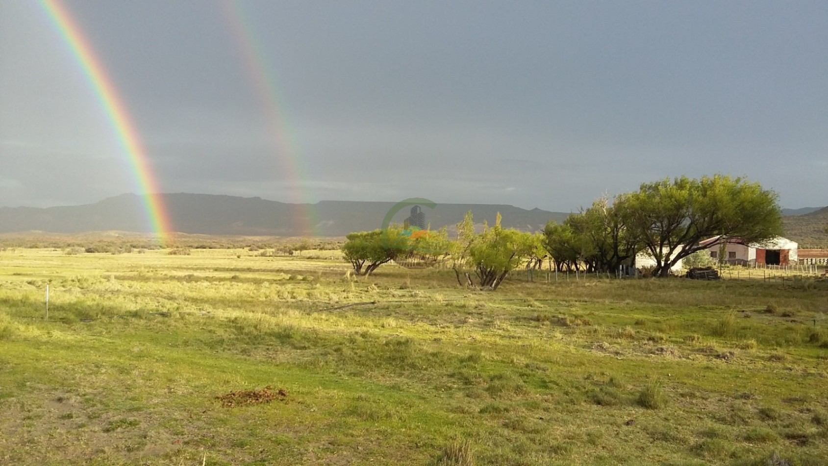 50000 ha Ganadero - Santa Cruz