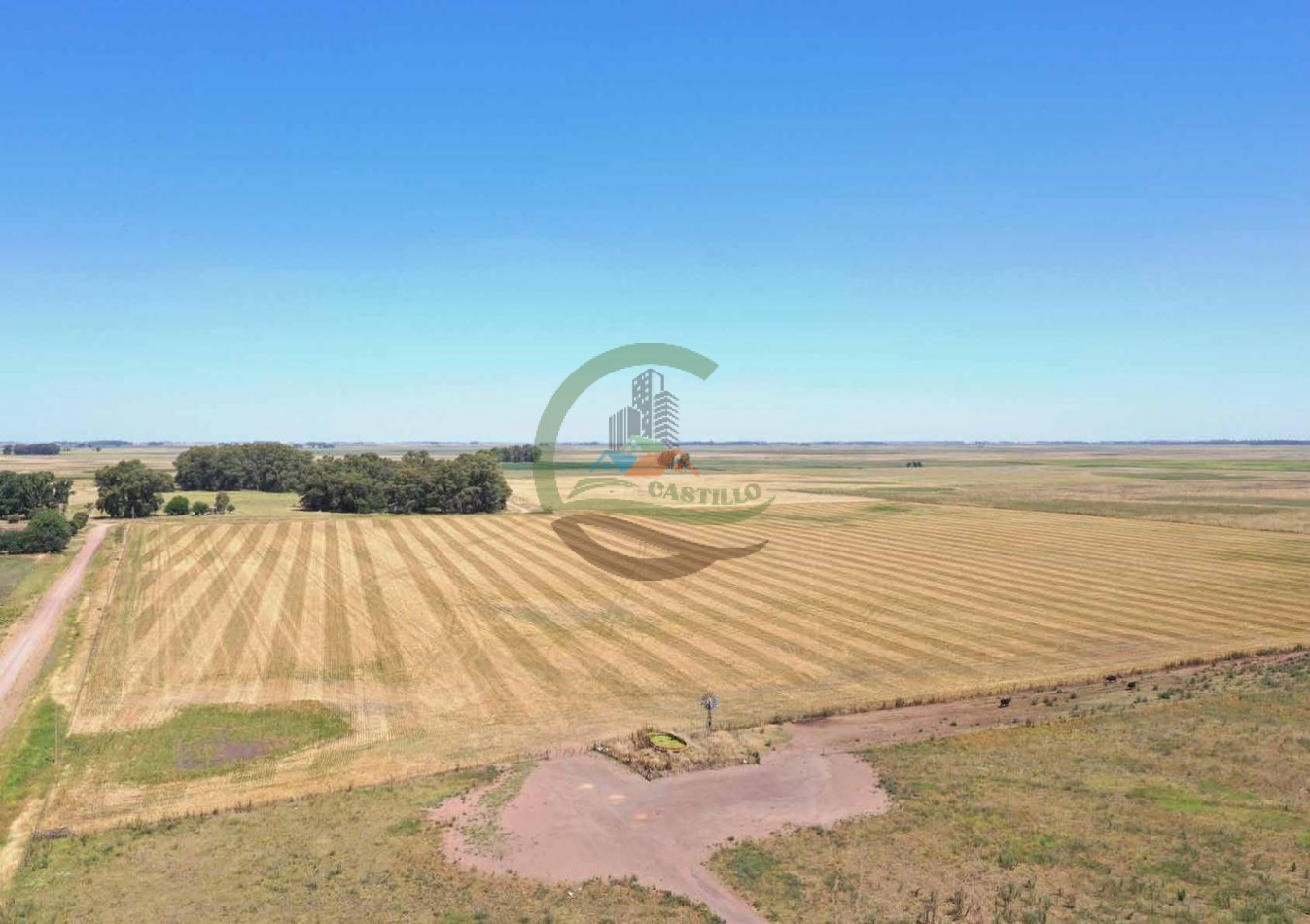 433 ha mixto - Bolivar 