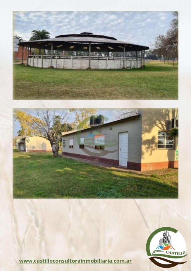 1420 Ha . Olivares - Lujan