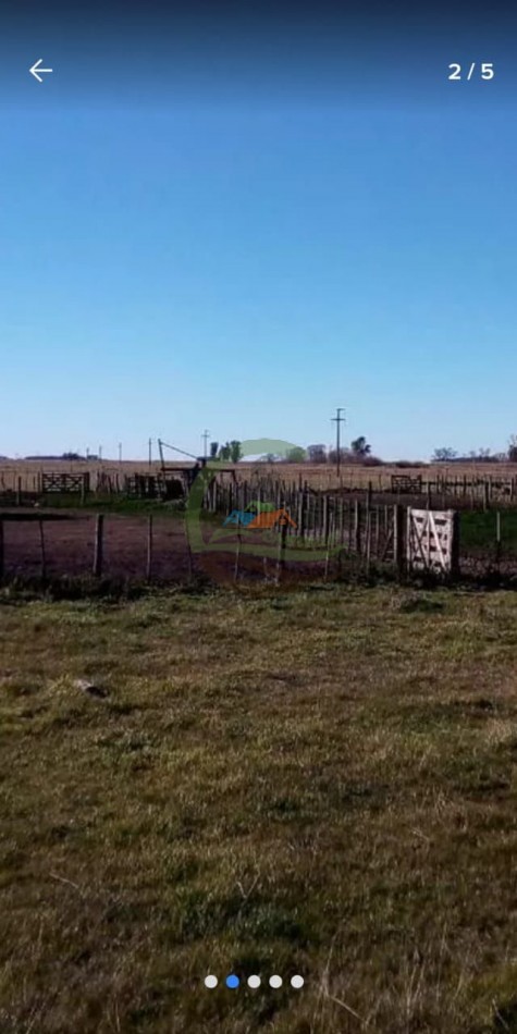 885 ha Ganadero - Alvear