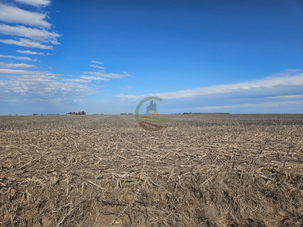 797 ha Agricolas - Bolivar