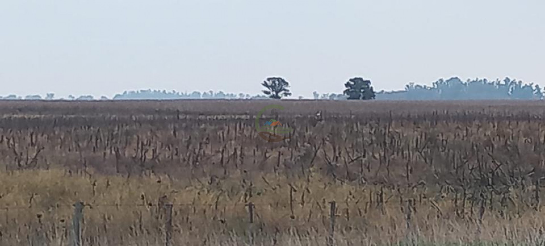 180 Ha Agricolas - Hale - Bolivar