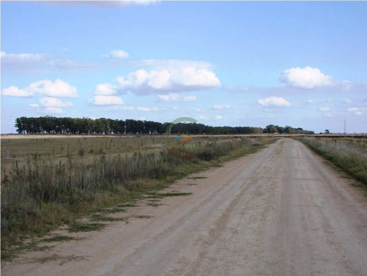 1320 Ha Ganadero - Dolores