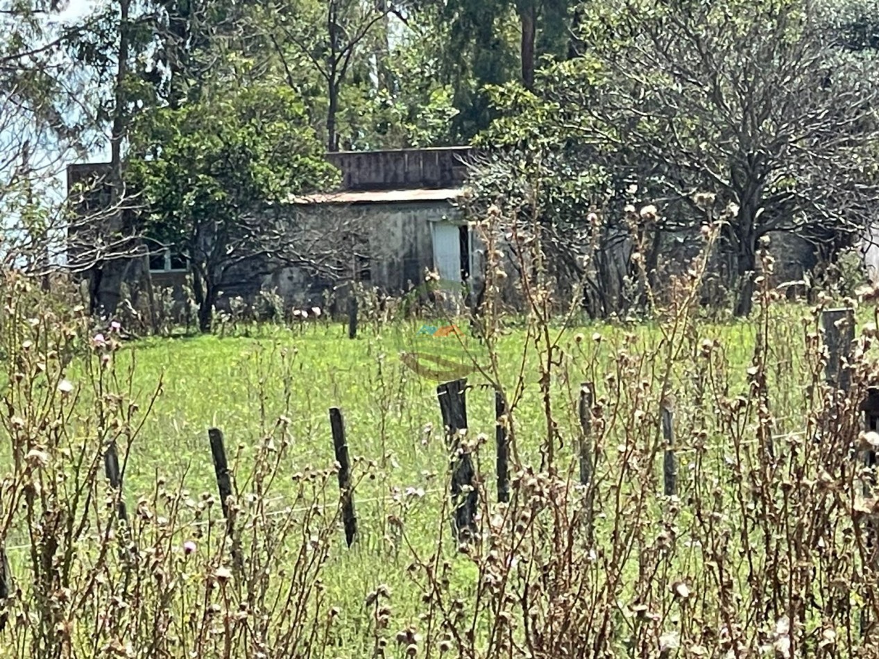 106 ha ganadero - gral alvear