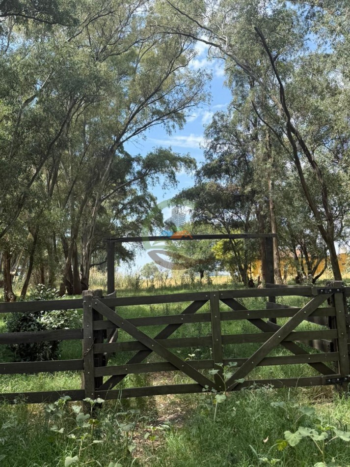 150 Ha Mixto - Urdampilleta - Bolivar