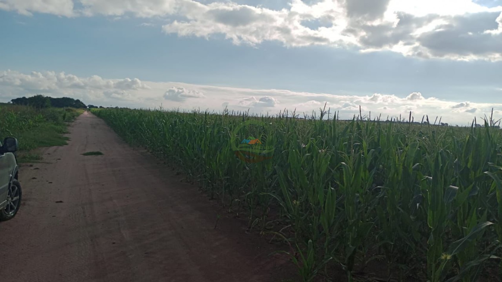 200 ha Agricolas - Cordoba 