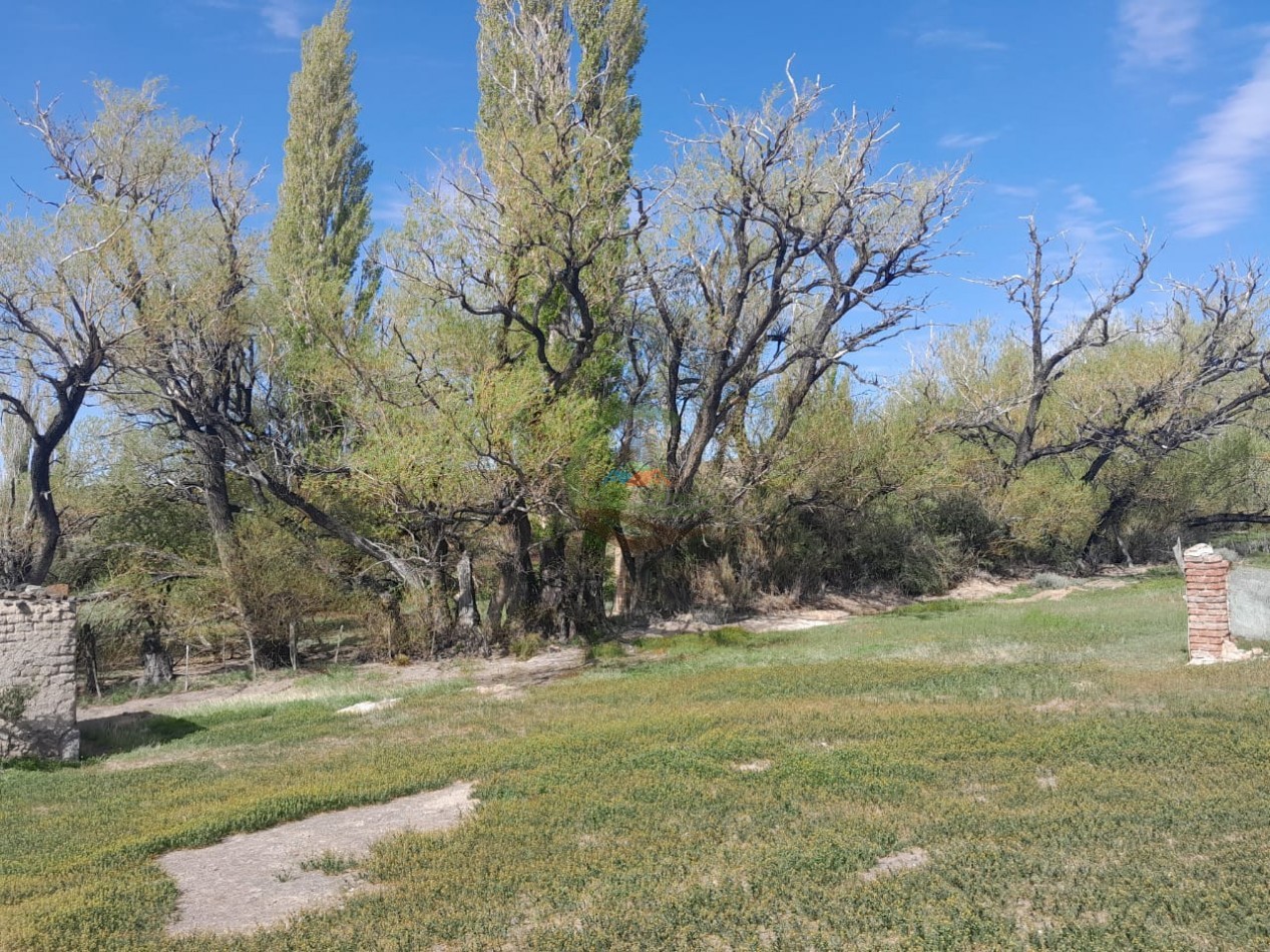 15000 ha Ganaderas - Chubut
