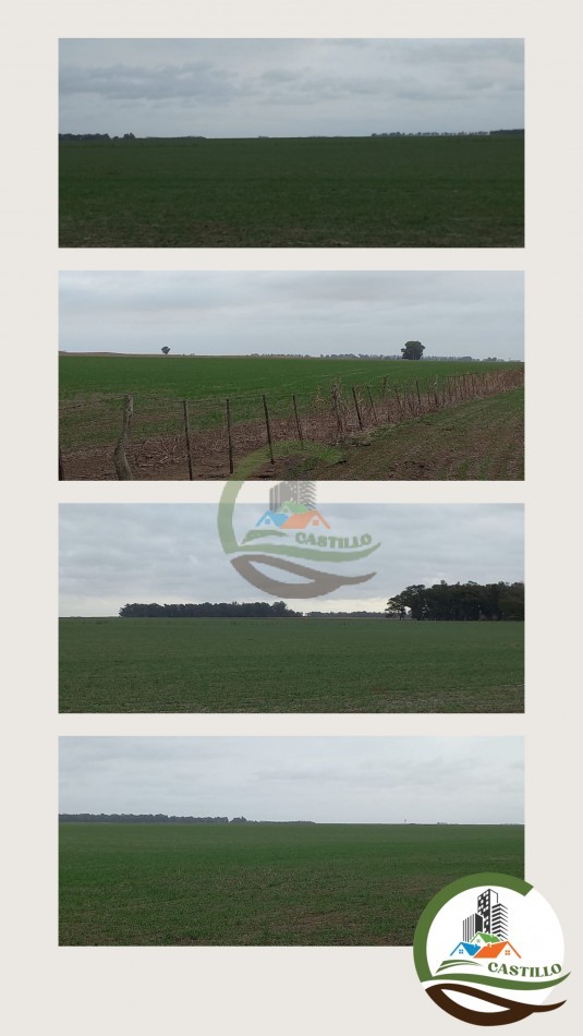697 ha agricolas - bolivar