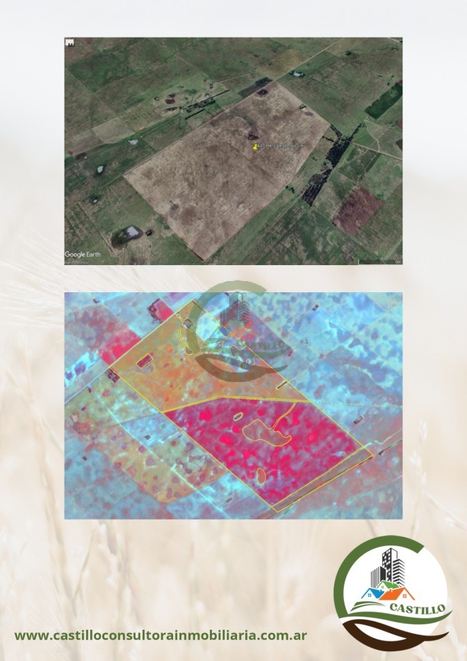 552 ha agricolas - gral alvear