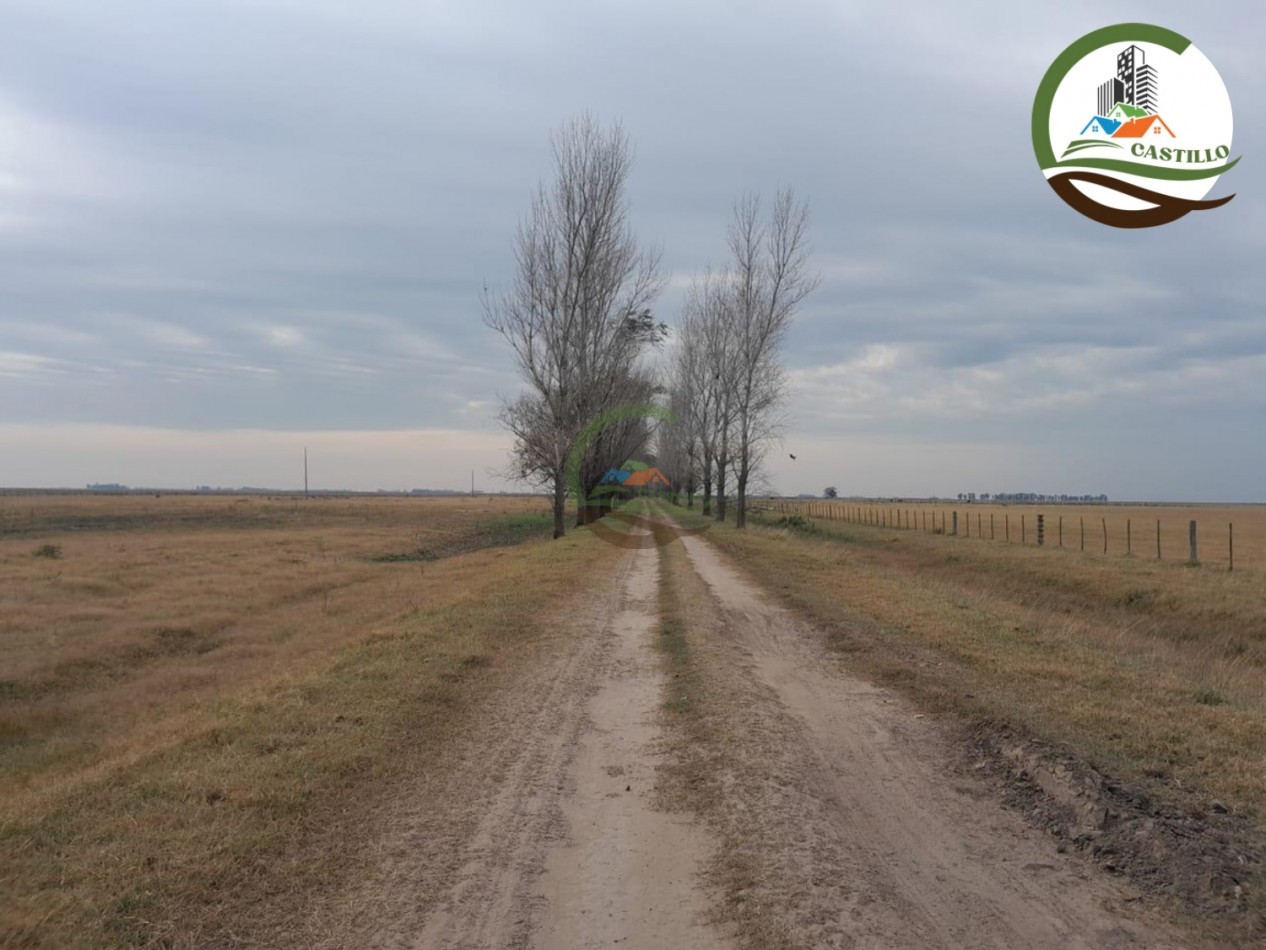 1025 ha mixta - saladillo