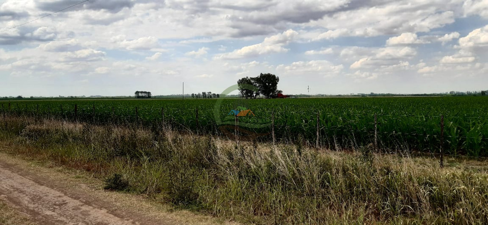 177 ha Mixtas - Pergamino 
