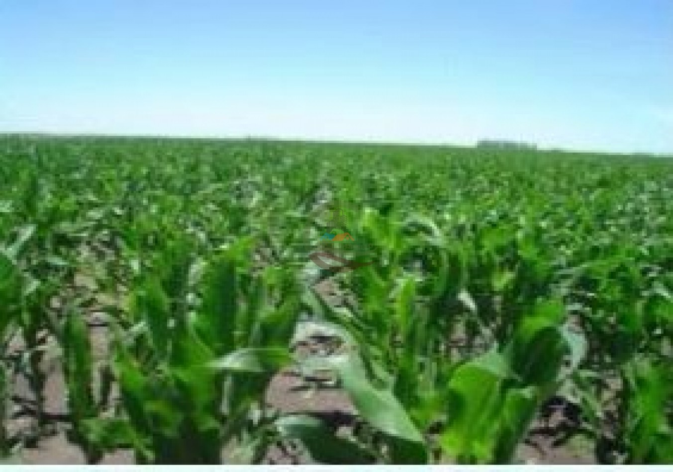 693 Ha Mixtas - Murphy - Santa Fe