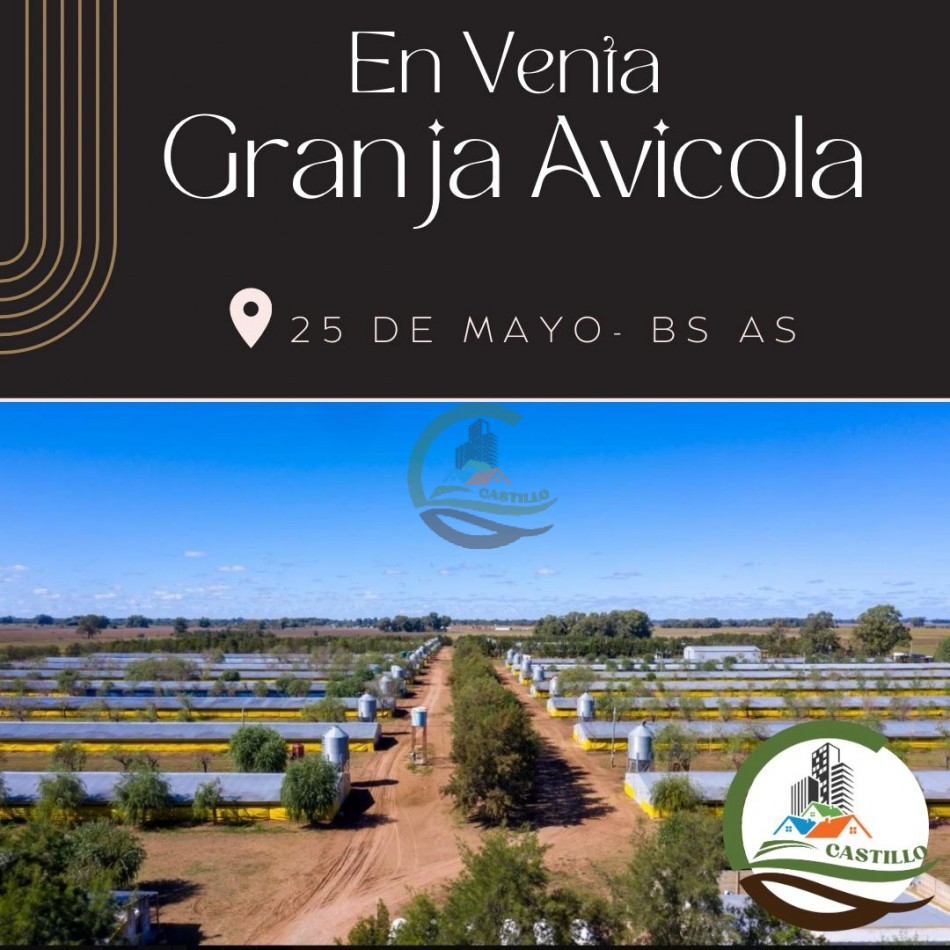 Granja Avicola 