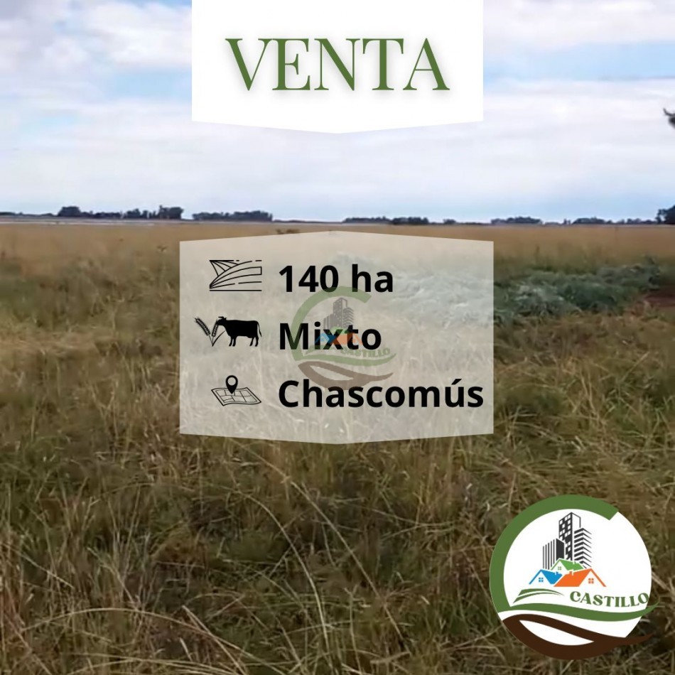 138 Ha Mixto - Chascomus