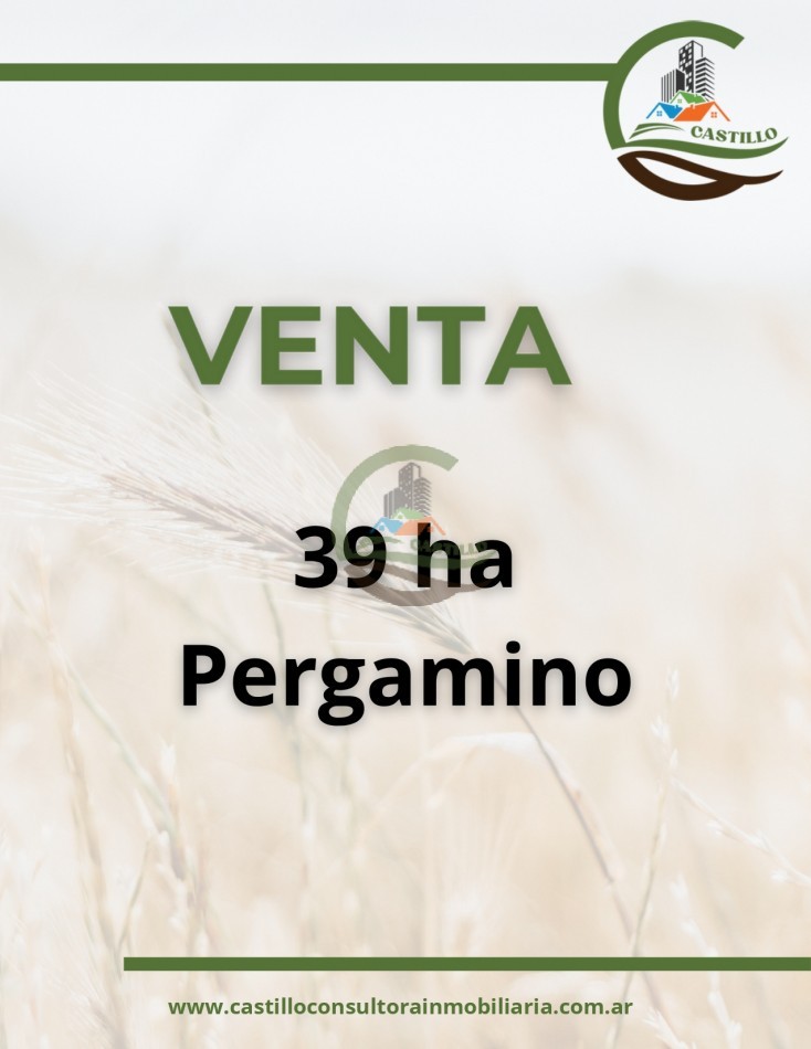 39 ha agricolas - pergamino