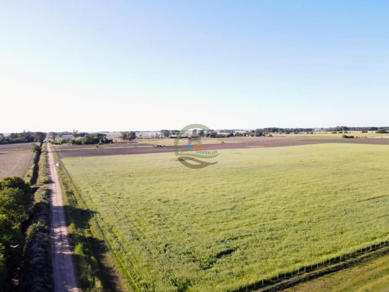 11 ha Agricolas - Saladillo