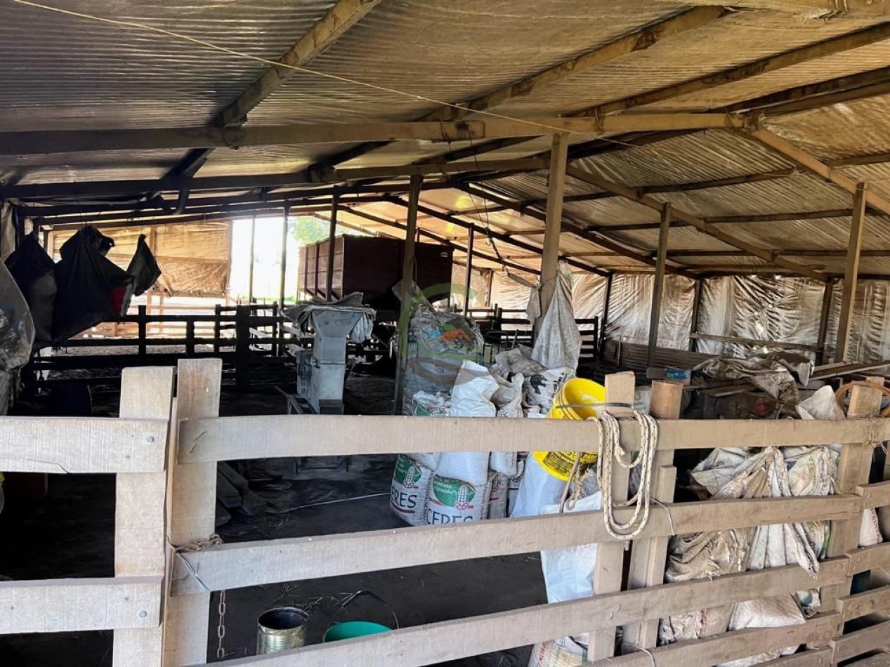 3 ha agricolas - polvaredas