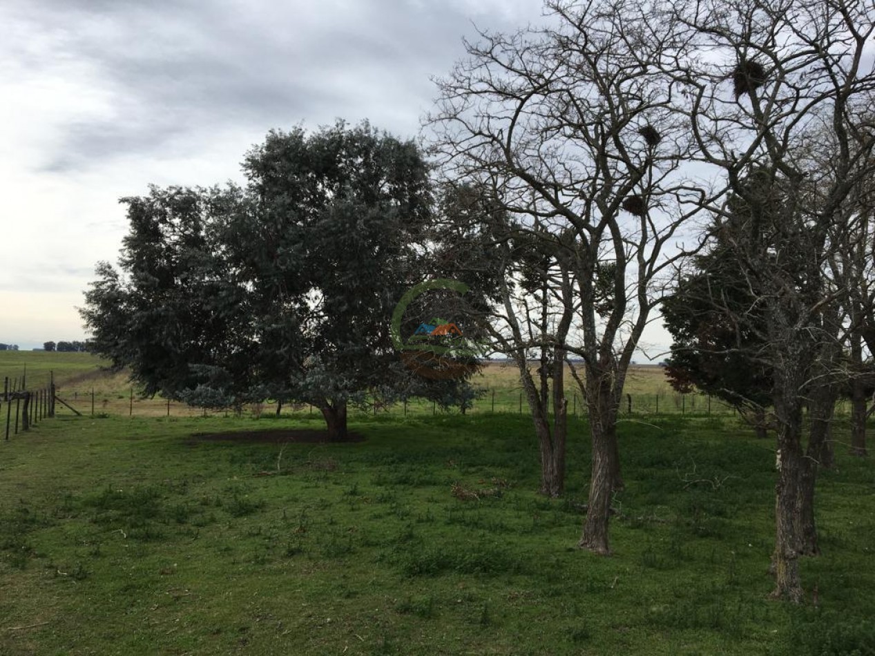 380 ha Mixtas - Bolivar