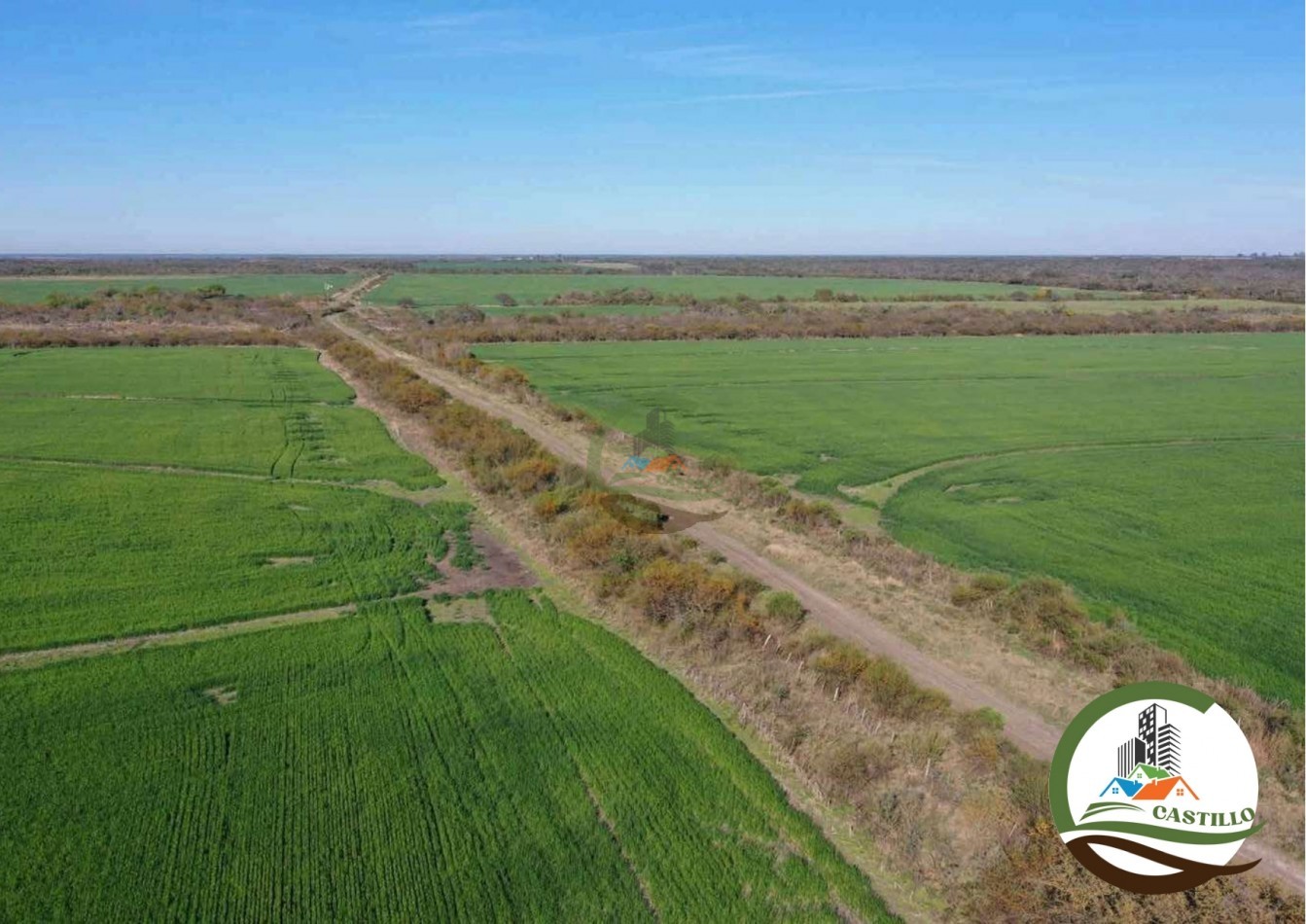 2658 ha Mixto - Entre Rios