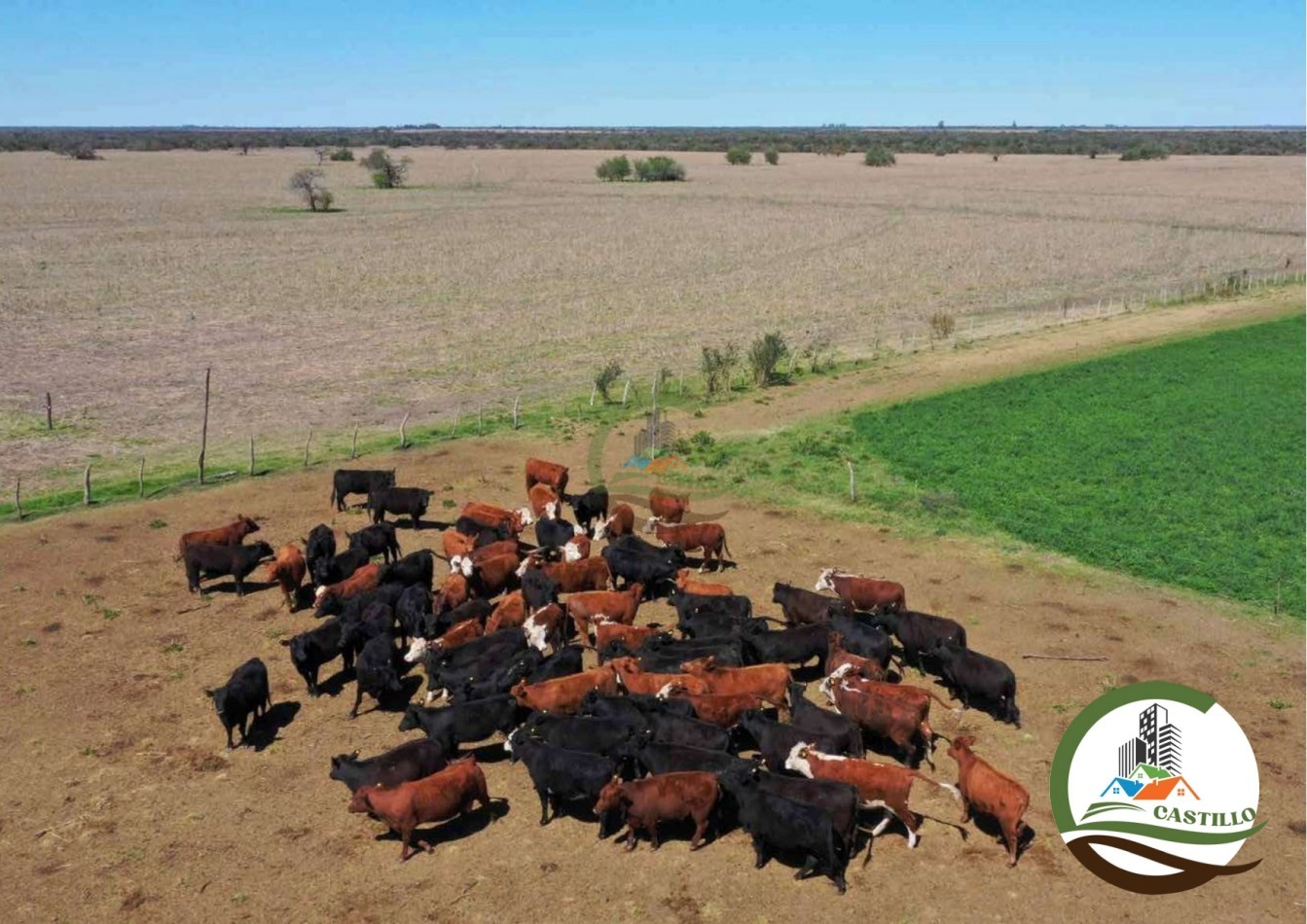 2658 ha Mixto - Entre Rios