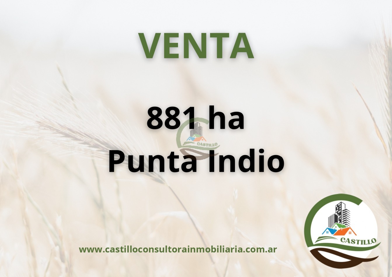 881 ha ganadero . punta indio