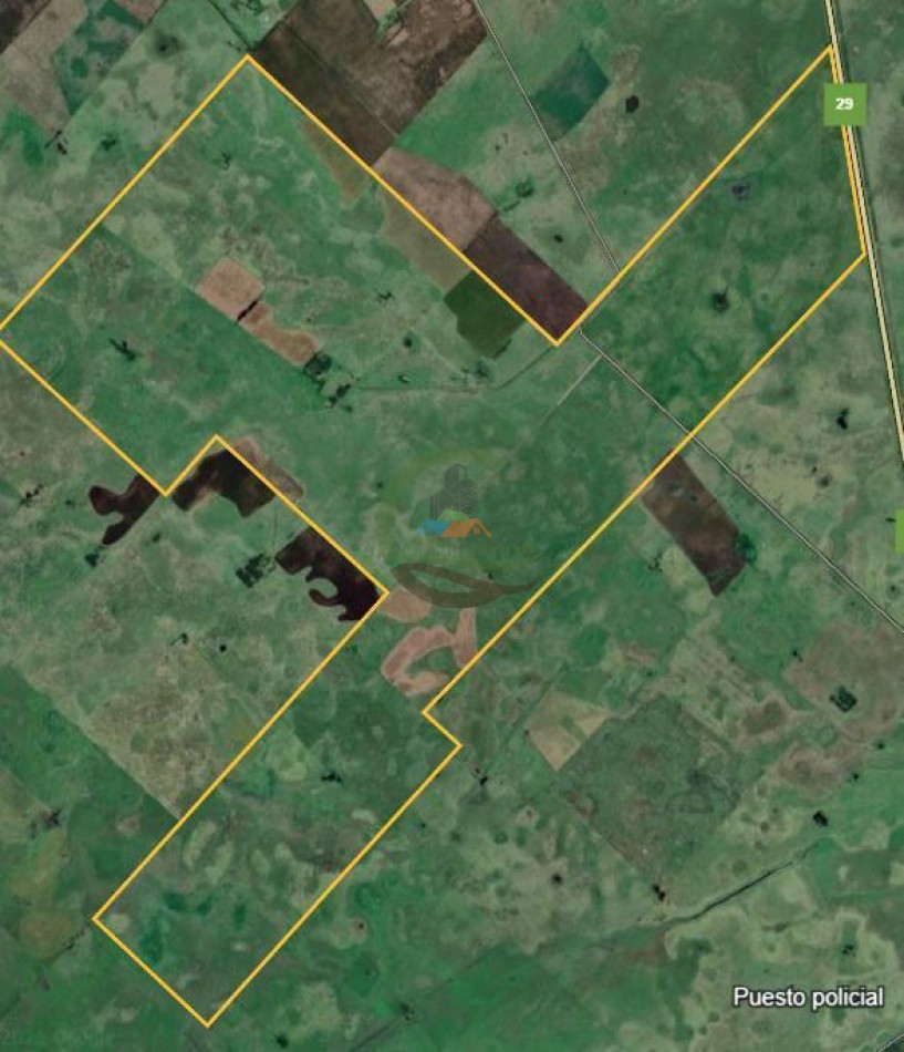 920 Ha Ganadero - Pila - Alquiler