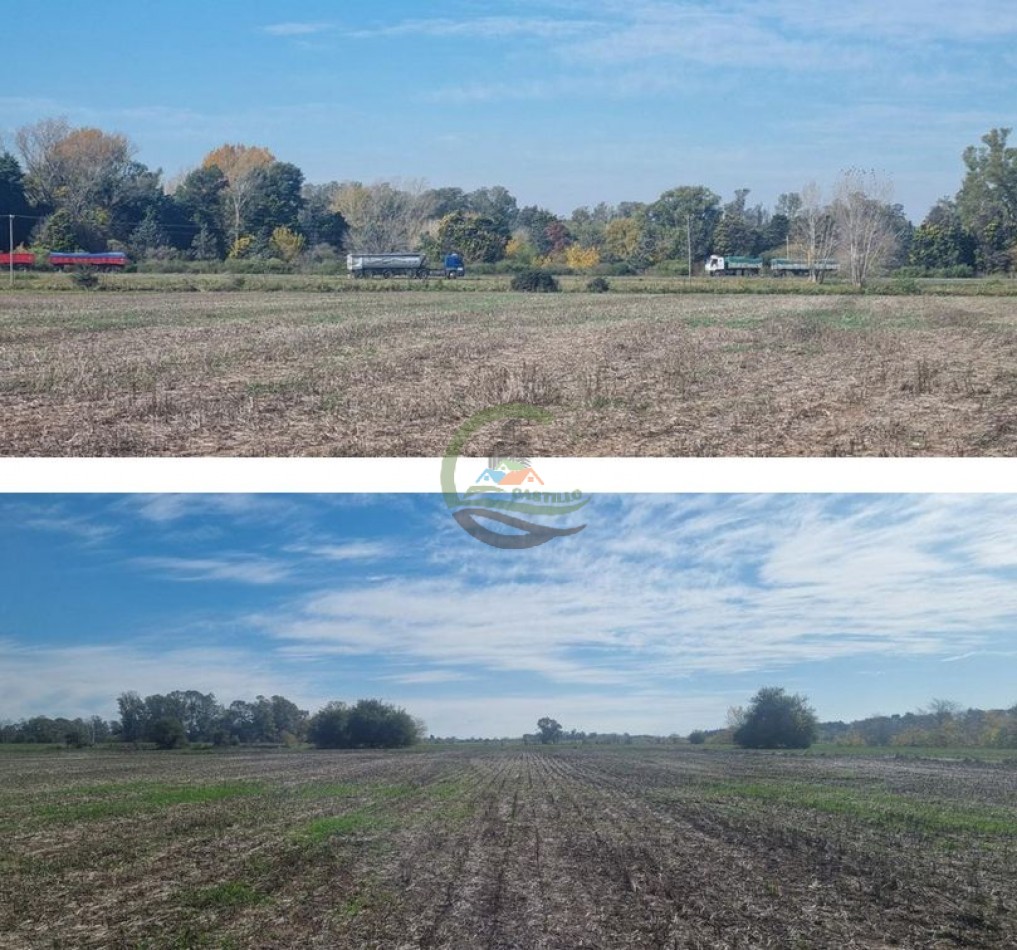 401 Ha Mixto - Lujan 