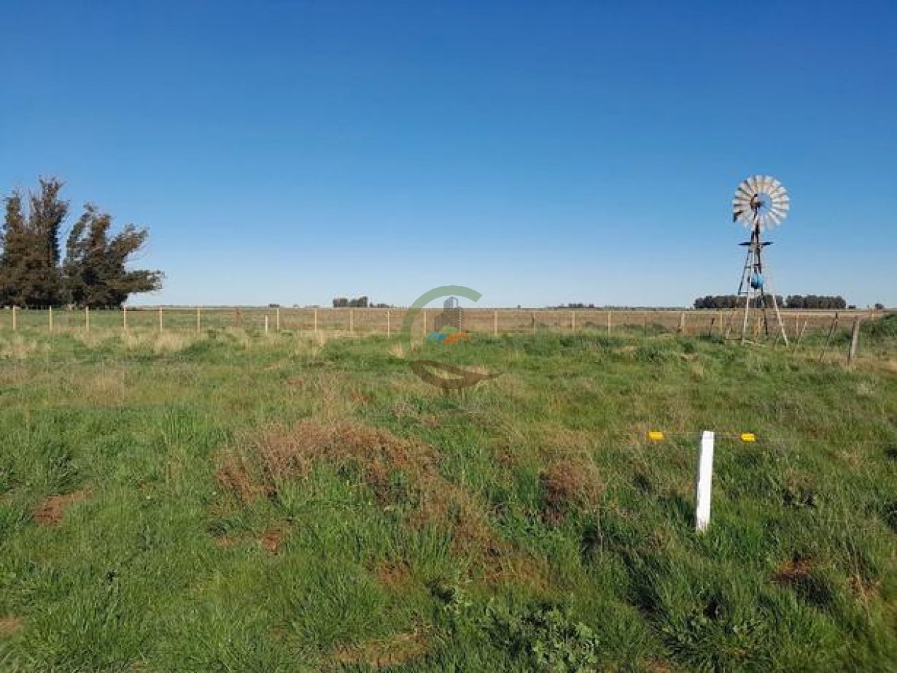 324 Ha Agricolas - San Cayetano