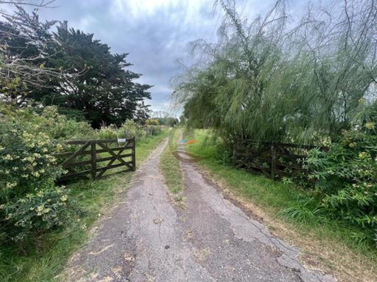 37,5 Ha Agricolas - Zarate