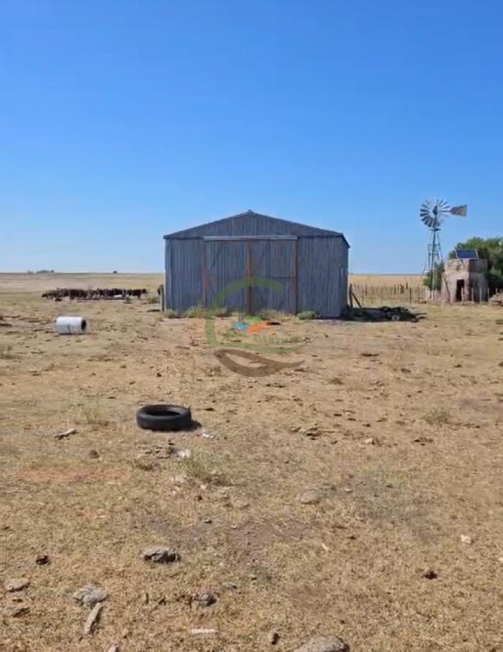 200 Ha Ganadero - Villa Iris - Buenos Aires