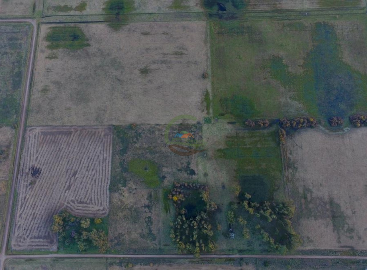 60 Ha Mixto - Las Flores