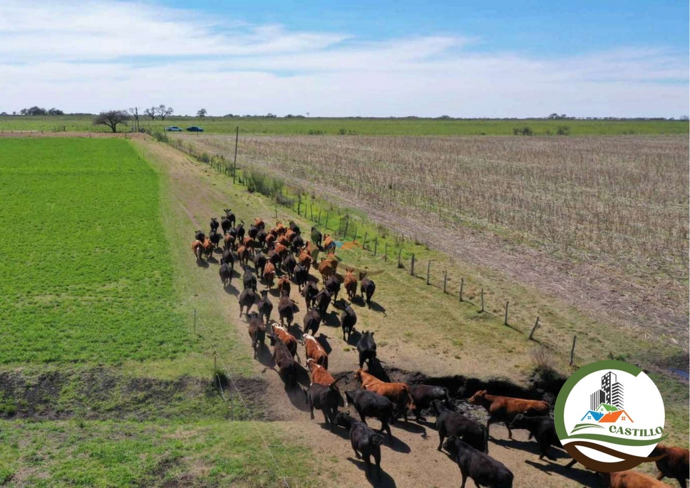 2658 ha Mixto - Entre Rios