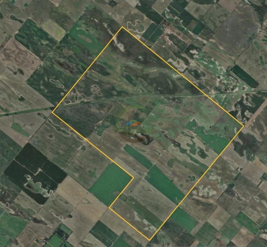 1945 Ha Mixtas - Trenque Lauquen