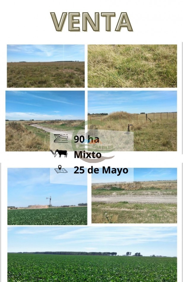 90 ha Mixtas - Pueblitos