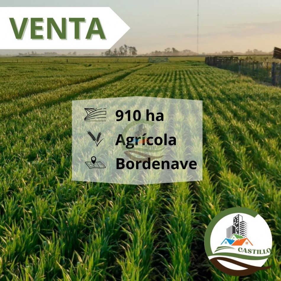 930 ha agricolas - bordenave